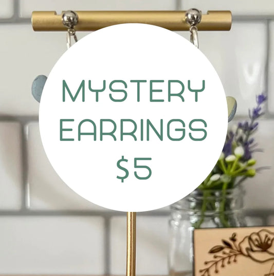 $5 earrings